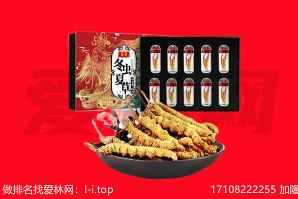 普洱回收虫草.jpg